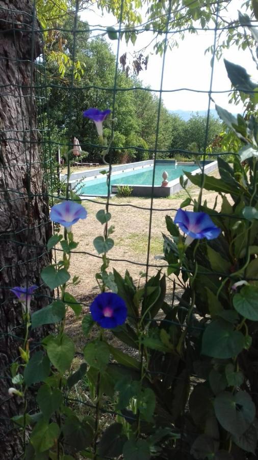 Poggio A Sieve Villore Exterior foto